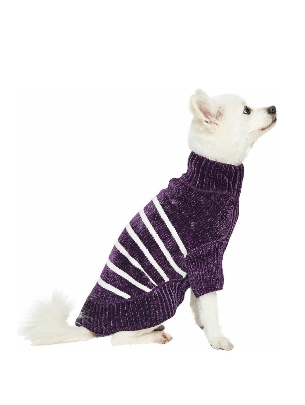 Purple Dog Sweater Blueberry 10"